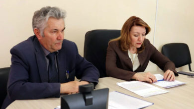 Проблема безнадзорных животных. Конструктивный диалог